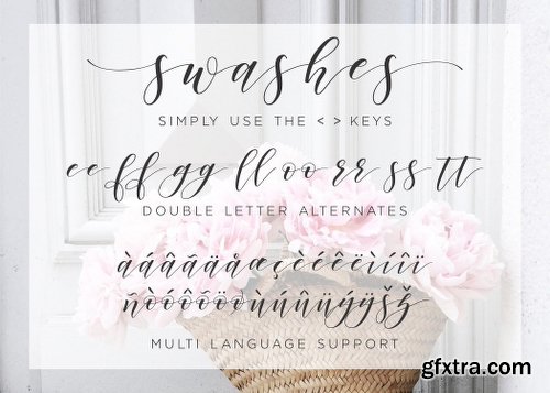 CreativeMarket Argentinian Nights elegant font 1148499