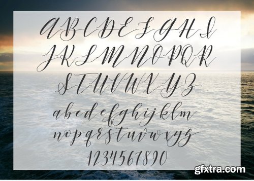 CreativeMarket Argentinian Nights elegant font 1148499