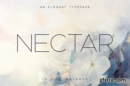 CreativeMarket Nectar Typeface 1148535