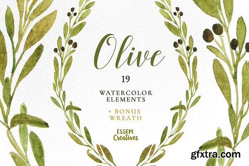 CreativeMarket Watercolor Leaves Clipart BIG BUNDLE 1143382