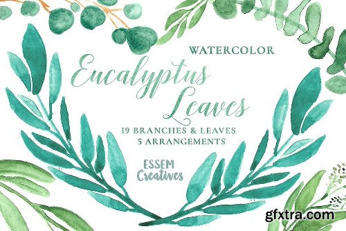 CreativeMarket Watercolor Leaves Clipart BIG BUNDLE 1143382