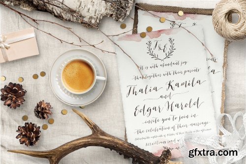 CreativeMarket Brigitte Script 508985