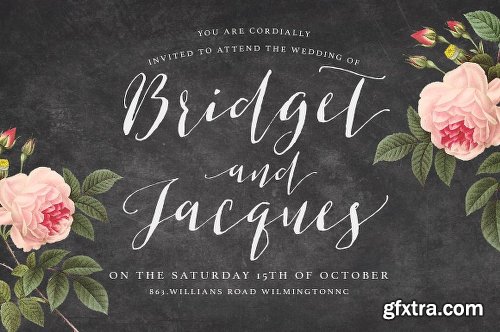 CreativeMarket Brigitte Script 508985