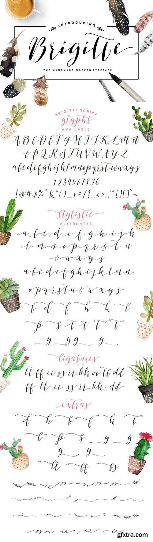 CreativeMarket Brigitte Script 508985