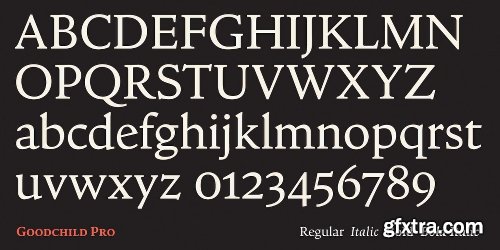 Goodchild Pro Font - 4 Fonts $200