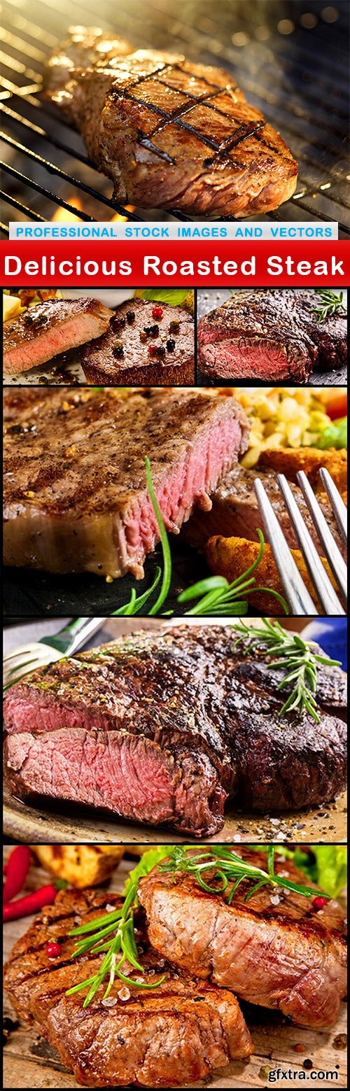 Delicious Roasted Steak - 6 UHQ JPEG