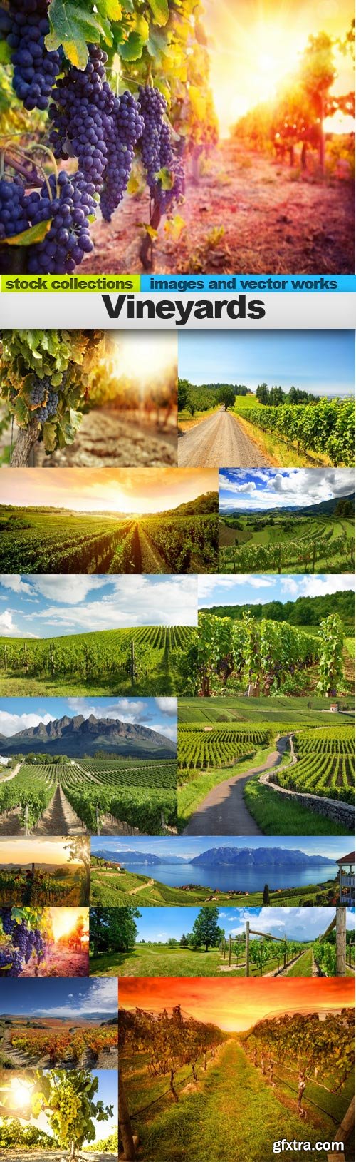 Vineyards, 15 x UHQ JPEG