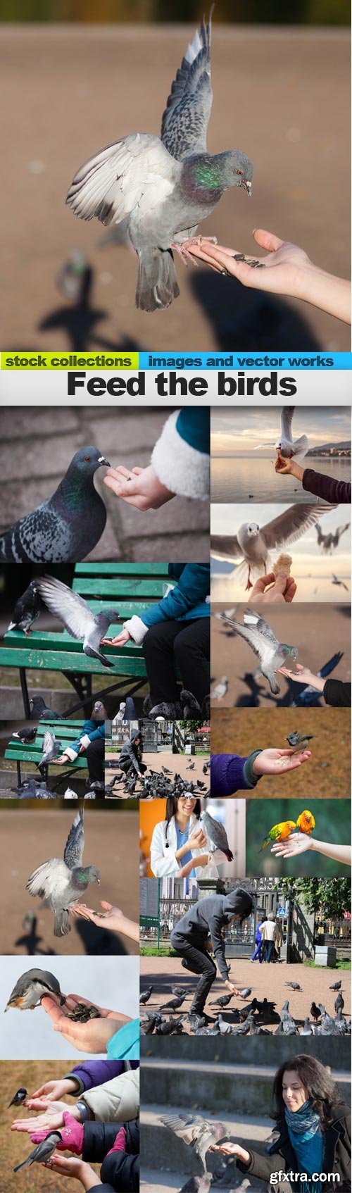 Feed the birds, 15 x UHQ JPEG