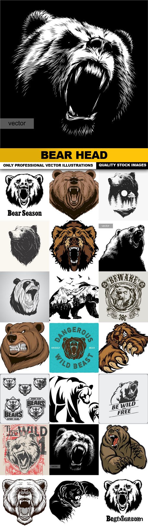 Bear Head - 20 Vector