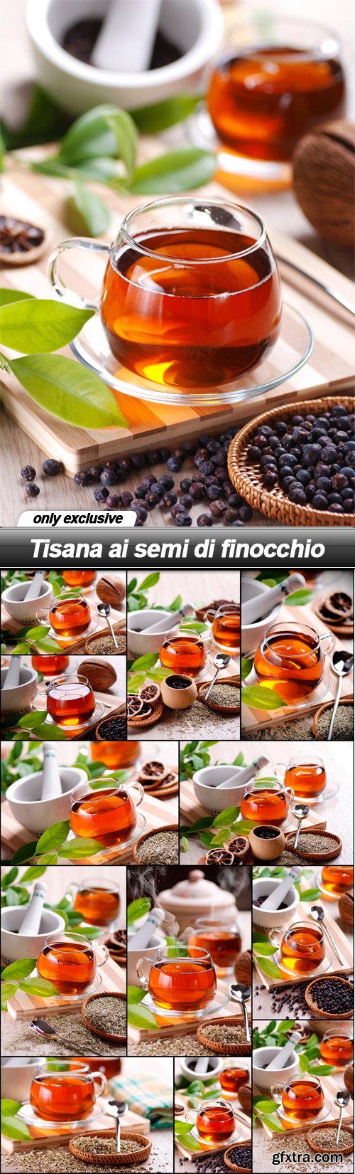 Tisana ai semi di finocchio - 12 UHQ JPEG