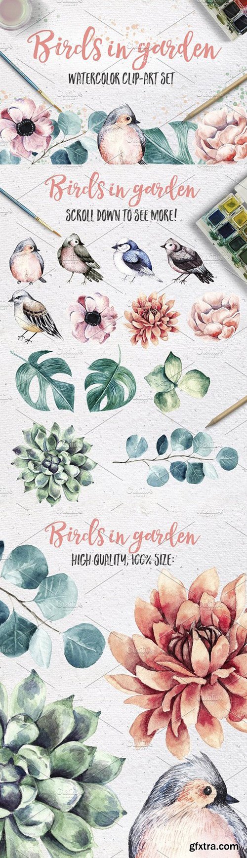 CM - BIRDS IN GARDEN Watercolor clip art 1151255