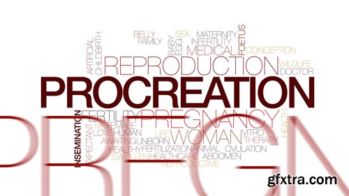 Procreation animated word cloud, text design animation. Kinetic typography