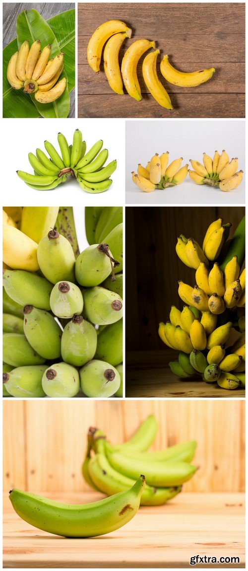 Fresh bananas 7X JPEG