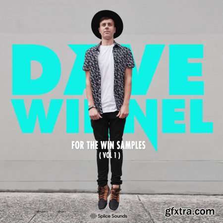 Splice Dave Winnel For The Win Samples Vol 1 WAV