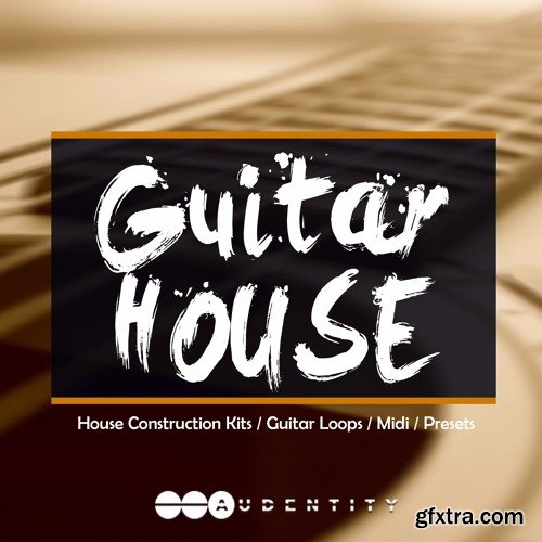 Audentity Records GUITAR HOUSE WAV MiDi Spire Harmor and Serum Presets-FANTASTiC