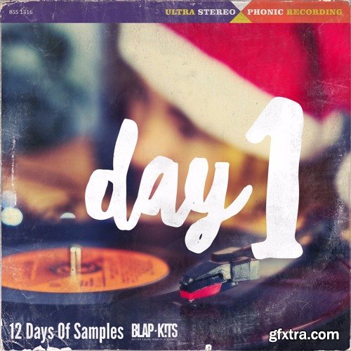 !llmind Blap Kits 12 Days Of Samples DAY 1 WAV-FANTASTiC