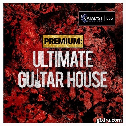 Catalyst Premium Ultimate Guitar House WAV MiDi-FANTASTiC