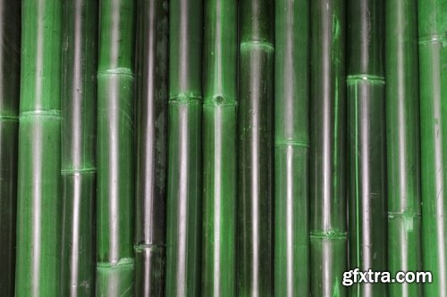 Collection bamboo cane thickets of the forest leaf stick 25 HQ Jpeg