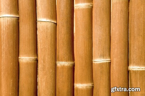 Collection bamboo cane thickets of the forest leaf stick 25 HQ Jpeg