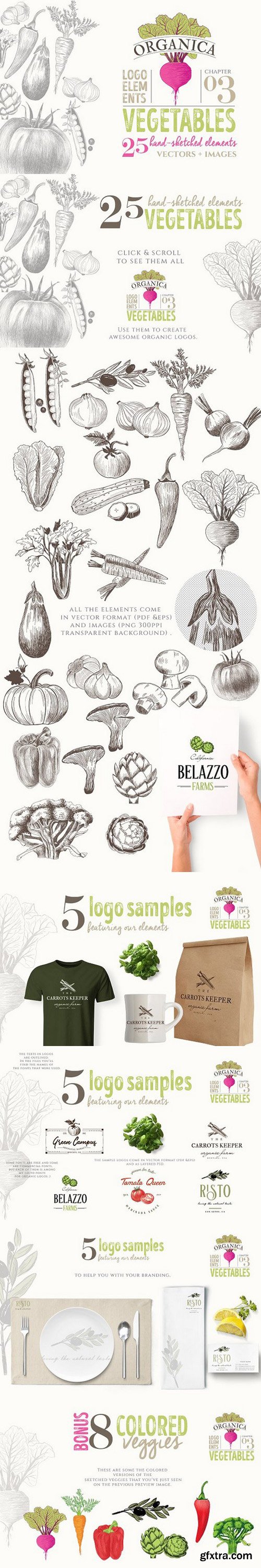 CM - ORGANIC LOGO ELEMENTS – VEGETABLES 1156928