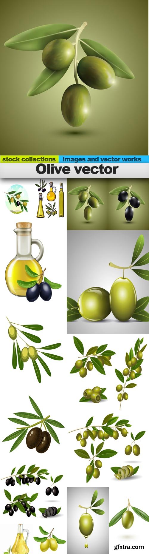 Olive vector, 15 x EPS