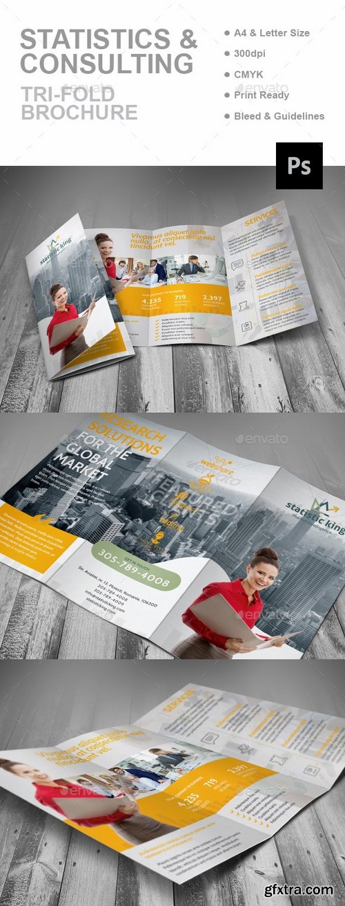 GraphicRiver - Statistics And Consulting Trifold Brochure 16151704