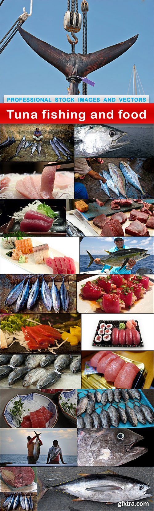 Tuna fishing and food - 22 UHQ JPEG