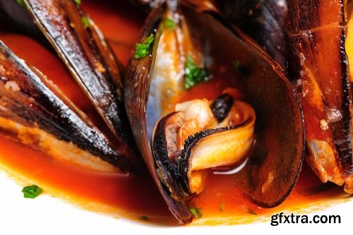 Collection of mussel seafood soup is a delicacy fried meat protein 25 HQ Jpeg