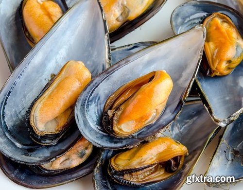 Collection of mussel seafood soup is a delicacy fried meat protein 25 HQ Jpeg