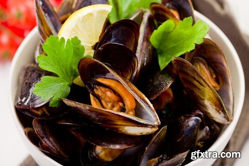 Collection of mussel seafood soup is a delicacy fried meat protein 25 HQ Jpeg