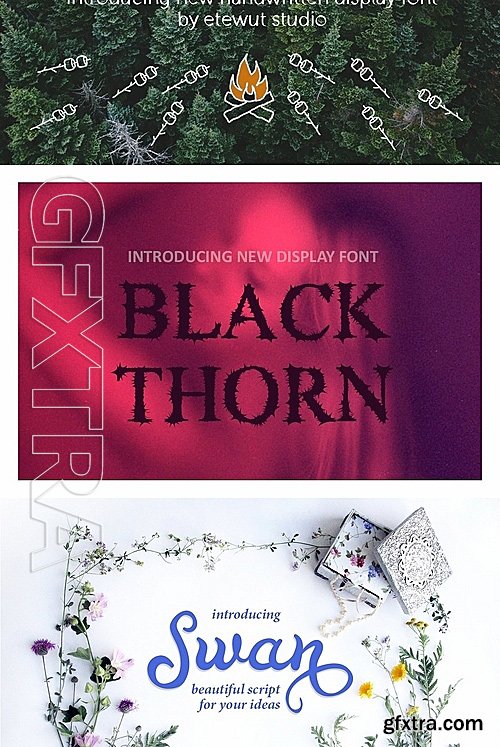 CM - All my fonts bundle 1169455