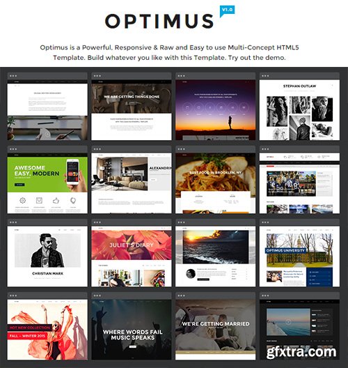 NRGThemes - Optimus 1.0 - Multi-Concept HTML5 Template