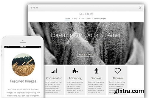 ThriveThemes - Minus v1.200.21 - Multi-Purpose WordPress Theme