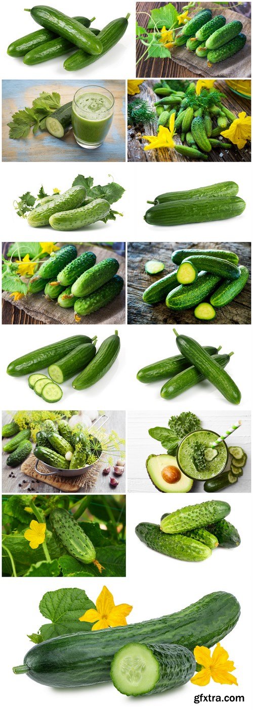 Fresh Cucumber - 15 HQ Images