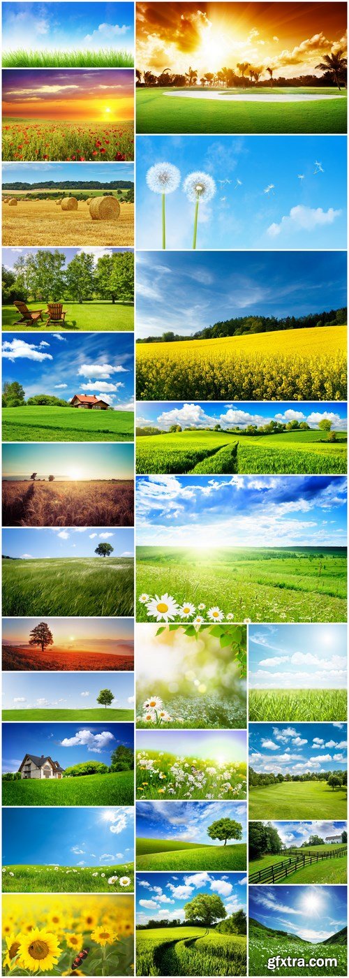 Beautiful Field - 25 HQ Images