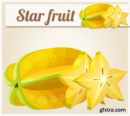 Fruit illustration 1 - 7 EPS