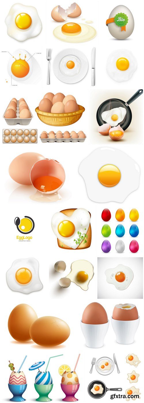 Eggs Collection - 20 Vector