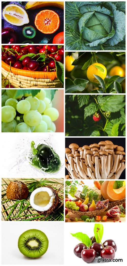 Vegetables, fruits, berry and mushrooms 12X JPEG