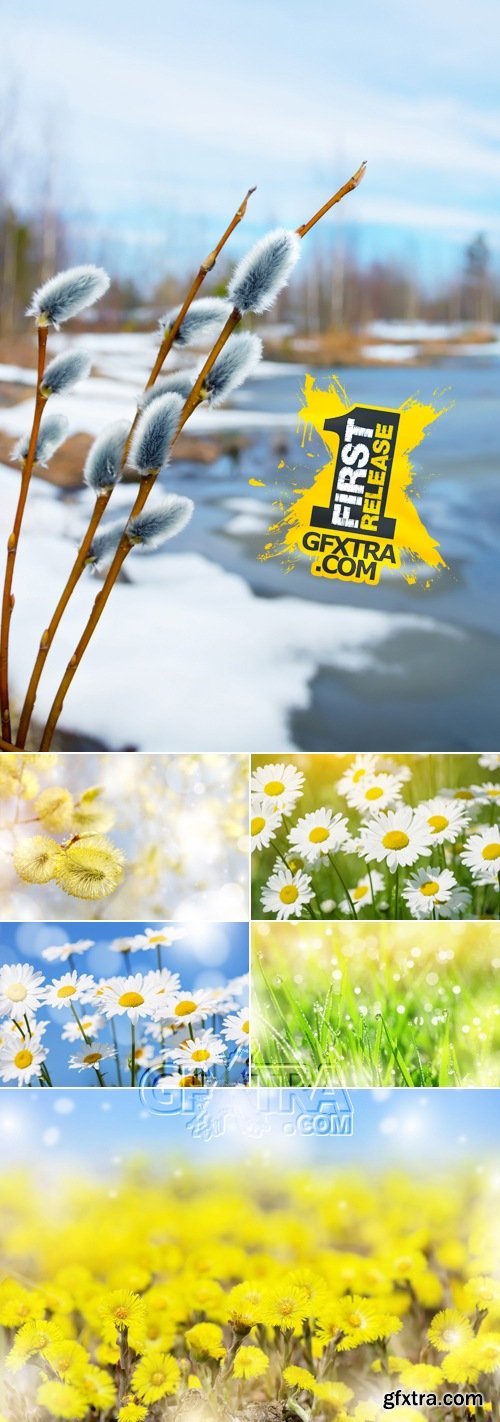 Stock Photo - Spring & Summer Backgrounds