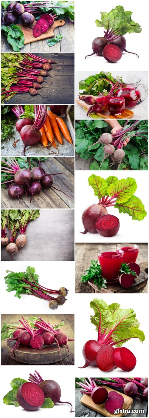 Fresh Beets - 15 HQ Images