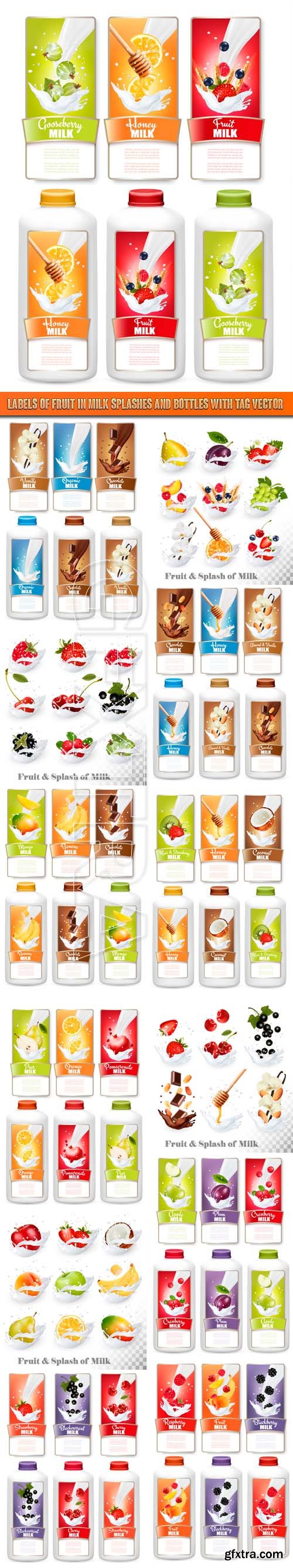 Labels of fruit in milk splashes and bottles with tag vector