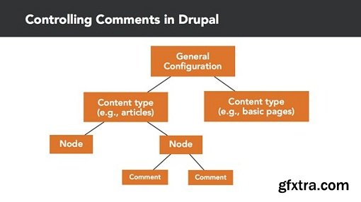 Drupal 8 Essentials 2: Building Out Your Website