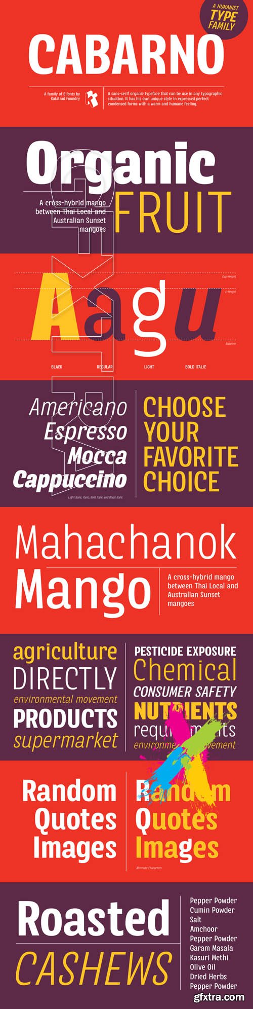 Cabarno font Family - $250.00