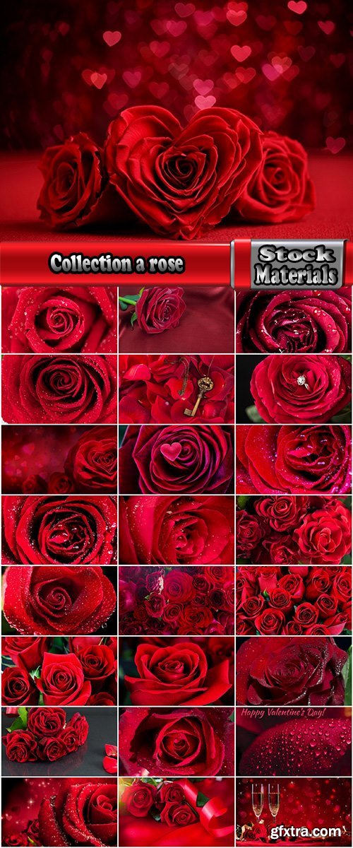 Collection a rose background is Valentine's Day gift petal red flower 25 HQ Jpeg