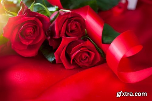 Collection a rose background is Valentine's Day gift petal red flower 25 HQ Jpeg