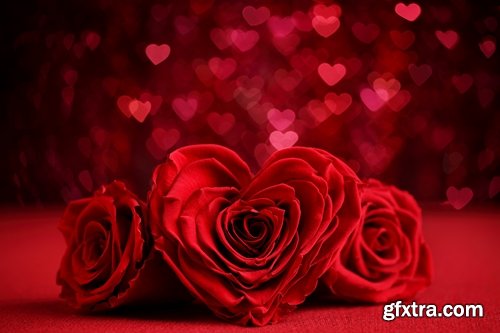 Collection a rose background is Valentine's Day gift petal red flower 25 HQ Jpeg