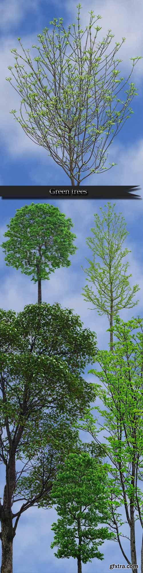 Green trees on a transparent background