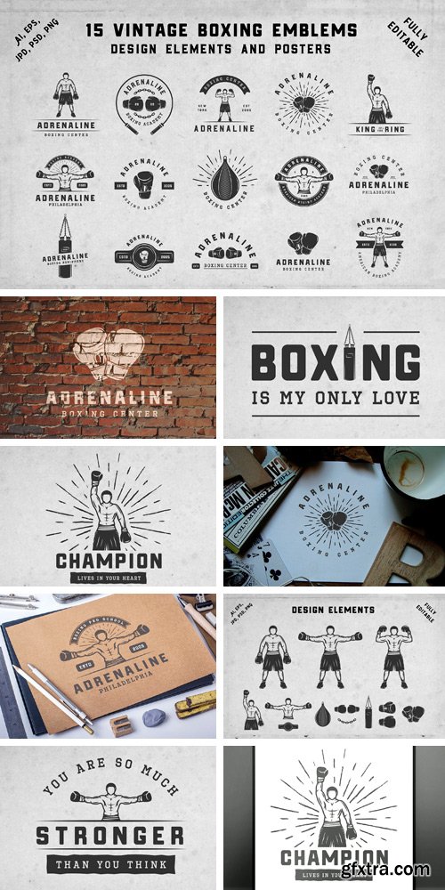 CM 1144374 - 15 Vintage Boxing Emblems