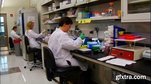 Dolly shot of scientists at work in laboratory