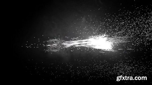 Videohive Black And White Logo Reveal 17258360